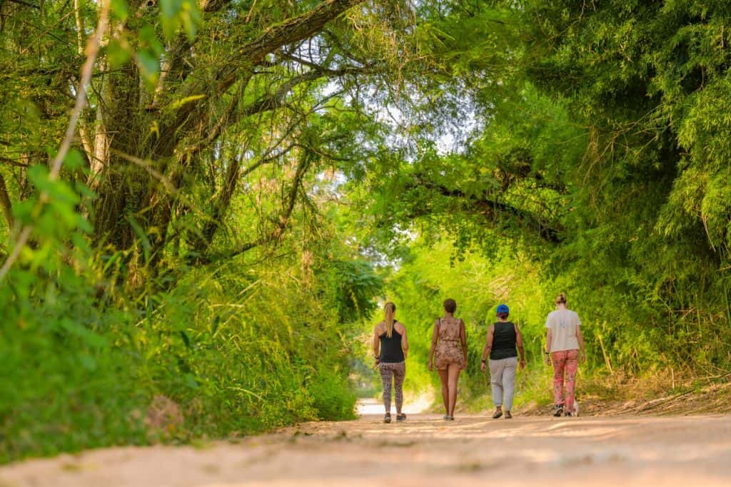 taking walks outdoors, nature immersion and therapy